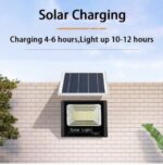 Cornucopia Series（Spot goods，Free shipping，Shipment from Johannesburg） - Image 9