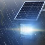 Cornucopia Series（Spot goods，Free shipping，Shipment from Johannesburg） - Image 6