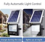 Cornucopia Series（Spot goods，Free shipping，Shipment from Johannesburg） - Image 5